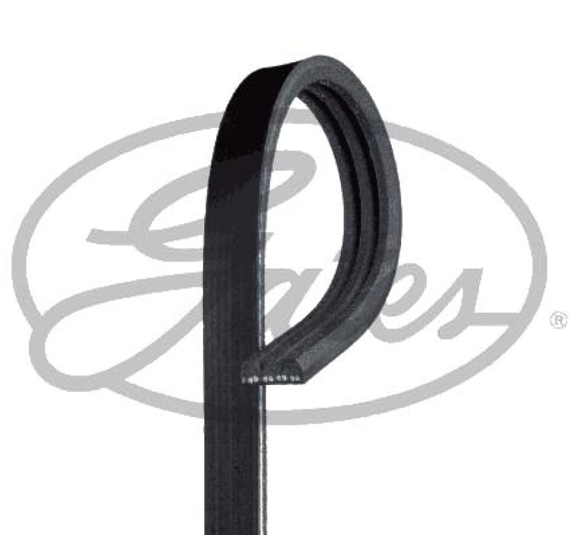 CORREA MICRO V® K040310 GATES