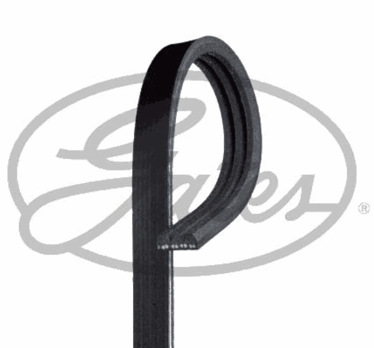 CORREA MICRO V® K040300 GATES