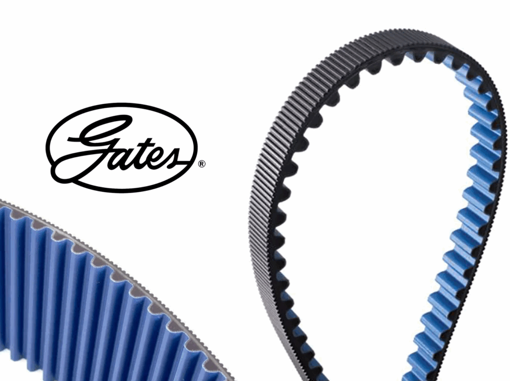 CORREA 8MGT-896-36 POLYCHAIN® GATES