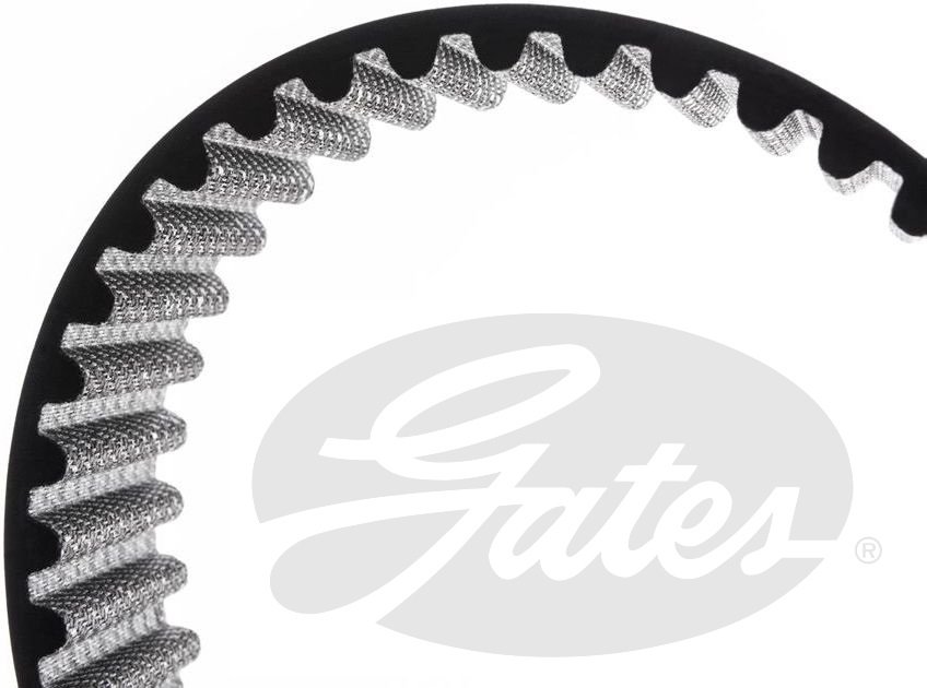 CORREA 2600-8MGT-30 GATES
