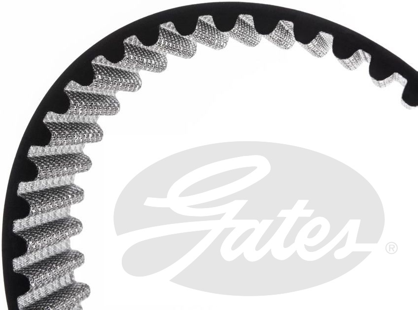 CORREA 4578-14MGT-55 GATES